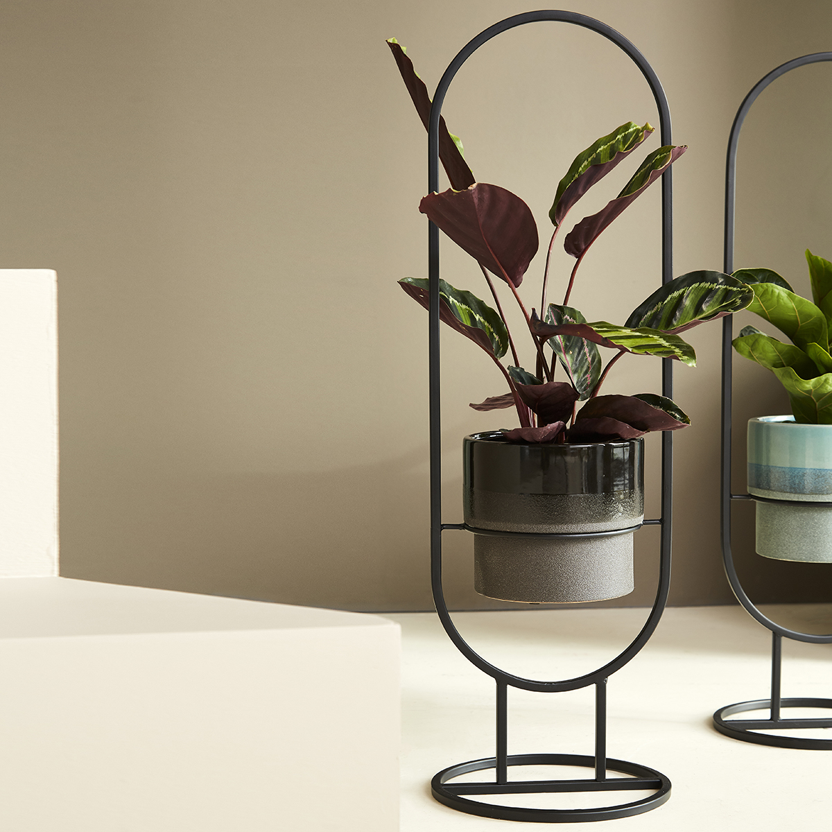 Exalt plantestandere - Pure Culture 