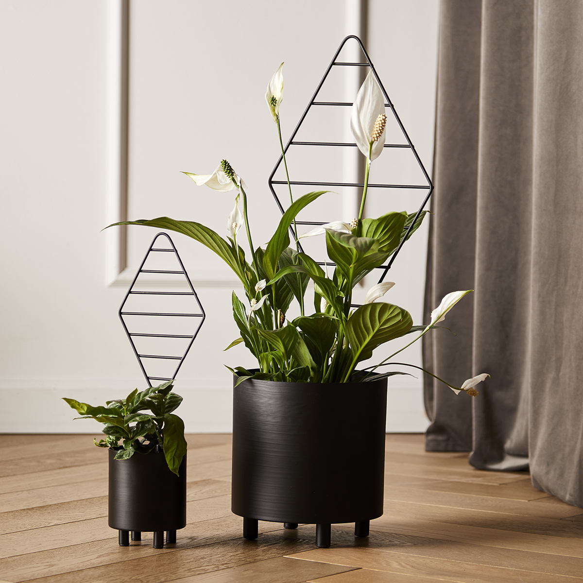Grow plantestandere - Pure Culture 